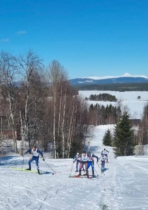 Knappgarden Сьорна Екстер'єр фото