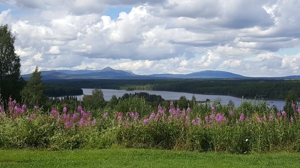 Knappgarden Сьорна Екстер'єр фото